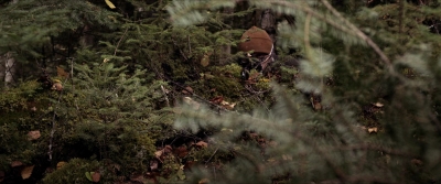 2020_-_Hunter_Hunter_mp41332.jpg