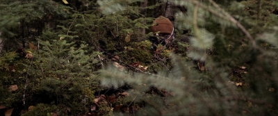 2020_-_Hunter_Hunter_mp41333.jpg
