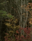 Filename=2020_-_Hunter_Hunter_mp40111.jpg
Filesize=784KiB
Dimensions=1920x804
Date added=Aug 03, 2025 2020_-_Hunter_Hunter_mp40111.jpg