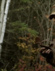 Filename=2020_-_Hunter_Hunter_mp40112.jpg
Filesize=770KiB
Dimensions=1920x804
Date added=Aug 03, 2025 2020_-_Hunter_Hunter_mp40112.jpg