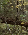 Filename=2020_-_Hunter_Hunter_mp40192.jpg
Filesize=1228KiB
Dimensions=1920x804
Date added=Aug 03, 2025 2020_-_Hunter_Hunter_mp40192.jpg