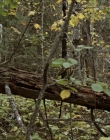 Filename=2020_-_Hunter_Hunter_mp40193.jpg
Filesize=1228KiB
Dimensions=1920x804
Date added=Aug 03, 2025 2020_-_Hunter_Hunter_mp40193.jpg