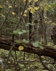 Filename=2020_-_Hunter_Hunter_mp40194.jpg
Filesize=1233KiB
Dimensions=1920x804
Date added=Aug 03, 2025 2020_-_Hunter_Hunter_mp40194.jpg