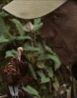 Filename=2020_-_Hunter_Hunter_mp40227.jpg
Filesize=801KiB
Dimensions=1920x804
Date added=Aug 03, 2025 2020_-_Hunter_Hunter_mp40227.jpg