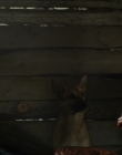 Filename=2020_-_Hunter_Hunter_mp40470.jpg
Filesize=697KiB
Dimensions=1920x804
Date added=Aug 03, 2025 2020_-_Hunter_Hunter_mp40470.jpg