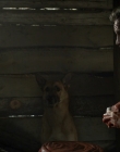 Filename=2020_-_Hunter_Hunter_mp40471.jpg
Filesize=735KiB
Dimensions=1920x804
Date added=Aug 03, 2025 2020_-_Hunter_Hunter_mp40471.jpg