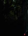 Filename=2020_-_Hunter_Hunter_mp40942.jpg
Filesize=447KiB
Dimensions=1920x804
Date added=Aug 03, 2025 2020_-_Hunter_Hunter_mp40942.jpg