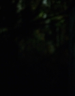 Filename=2020_-_Hunter_Hunter_mp40943.jpg
Filesize=442KiB
Dimensions=1920x804
Date added=Aug 03, 2025 2020_-_Hunter_Hunter_mp40943.jpg