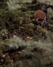 Filename=2020_-_Hunter_Hunter_mp41332.jpg
Filesize=1159KiB
Dimensions=1920x804
Date added=Aug 03, 2025 2020_-_Hunter_Hunter_mp41332.jpg