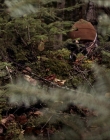 Filename=2020_-_Hunter_Hunter_mp41333.jpg
Filesize=1126KiB
Dimensions=1920x804
Date added=Aug 03, 2025 2020_-_Hunter_Hunter_mp41333.jpg