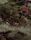 Filename=2020_-_Hunter_Hunter_mp41334.jpg
Filesize=1118KiB
Dimensions=1920x804
Date added=Aug 03, 2025 2020_-_Hunter_Hunter_mp41334.jpg