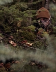 Filename=2020_-_Hunter_Hunter_mp41335.jpg
Filesize=1115KiB
Dimensions=1920x804
Date added=Aug 03, 2025 2020_-_Hunter_Hunter_mp41335.jpg