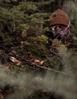 Filename=2020_-_Hunter_Hunter_mp41336.jpg
Filesize=1113KiB
Dimensions=1920x804
Date added=Aug 03, 2025 2020_-_Hunter_Hunter_mp41336.jpg