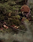 Filename=2020_-_Hunter_Hunter_mp41337.jpg
Filesize=1116KiB
Dimensions=1920x804
Date added=Aug 03, 2025 2020_-_Hunter_Hunter_mp41337.jpg