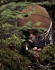 Filename=2020_-_Hunter_Hunter_mp41343.jpg
Filesize=875KiB
Dimensions=1920x804
Date added=Aug 03, 2025 2020_-_Hunter_Hunter_mp41343.jpg