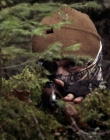 Filename=2020_-_Hunter_Hunter_mp41344.jpg
Filesize=862KiB
Dimensions=1920x804
Date added=Aug 03, 2025 2020_-_Hunter_Hunter_mp41344.jpg