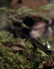 Filename=2020_-_Hunter_Hunter_mp41348.jpg
Filesize=807KiB
Dimensions=1920x804
Date added=Aug 03, 2025 2020_-_Hunter_Hunter_mp41348.jpg