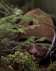 Filename=2020_-_Hunter_Hunter_mp41398.jpg
Filesize=834KiB
Dimensions=1920x804
Date added=Aug 03, 2025 2020_-_Hunter_Hunter_mp41398.jpg