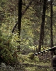 Filename=2020_-_Hunter_Hunter_mp41401.jpg
Filesize=1072KiB
Dimensions=1920x804
Date added=Aug 03, 2025 2020_-_Hunter_Hunter_mp41401.jpg