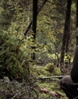 Filename=2020_-_Hunter_Hunter_mp41402.jpg
Filesize=1052KiB
Dimensions=1920x804
Date added=Aug 03, 2025 2020_-_Hunter_Hunter_mp41402.jpg