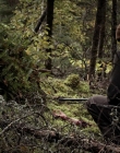 Filename=2020_-_Hunter_Hunter_mp41403.jpg
Filesize=1172KiB
Dimensions=1920x804
Date added=Aug 03, 2025 2020_-_Hunter_Hunter_mp41403.jpg