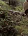 Filename=2020_-_Hunter_Hunter_mp41417.jpg
Filesize=798KiB
Dimensions=1920x804
Date added=Aug 03, 2025 2020_-_Hunter_Hunter_mp41417.jpg