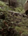 Filename=2020_-_Hunter_Hunter_mp41418.jpg
Filesize=795KiB
Dimensions=1920x804
Date added=Aug 03, 2025 2020_-_Hunter_Hunter_mp41418.jpg