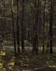 Filename=2020_-_Hunter_Hunter_mp41469.jpg
Filesize=1276KiB
Dimensions=1920x804
Date added=Aug 03, 2025 2020_-_Hunter_Hunter_mp41469.jpg