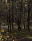 Filename=2020_-_Hunter_Hunter_mp41470.jpg
Filesize=1263KiB
Dimensions=1920x804
Date added=Aug 03, 2025 2020_-_Hunter_Hunter_mp41470.jpg