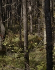 Filename=2020_-_Hunter_Hunter_mp41503.jpg
Filesize=1050KiB
Dimensions=1920x804
Date added=Aug 03, 2025 2020_-_Hunter_Hunter_mp41503.jpg