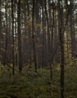 Filename=2020_-_Hunter_Hunter_mp41510.jpg
Filesize=979KiB
Dimensions=1920x804
Date added=Aug 03, 2025 2020_-_Hunter_Hunter_mp41510.jpg