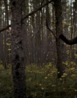 Filename=2020_-_Hunter_Hunter_mp41512.jpg
Filesize=828KiB
Dimensions=1920x804
Date added=Aug 03, 2025 2020_-_Hunter_Hunter_mp41512.jpg