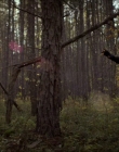 Filename=2020_-_Hunter_Hunter_mp41513.jpg
Filesize=899KiB
Dimensions=1920x804
Date added=Aug 03, 2025 2020_-_Hunter_Hunter_mp41513.jpg
