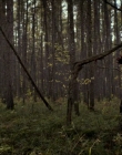 Filename=2020_-_Hunter_Hunter_mp41514.jpg
Filesize=929KiB
Dimensions=1920x804
Date added=Aug 03, 2025 2020_-_Hunter_Hunter_mp41514.jpg