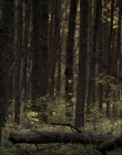 Filename=2020_-_Hunter_Hunter_mp41533.jpg
Filesize=1054KiB
Dimensions=1920x804
Date added=Aug 03, 2025 2020_-_Hunter_Hunter_mp41533.jpg
