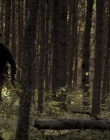 Filename=2020_-_Hunter_Hunter_mp41534.jpg
Filesize=1058KiB
Dimensions=1920x804
Date added=Aug 03, 2025 2020_-_Hunter_Hunter_mp41534.jpg