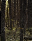 Filename=2020_-_Hunter_Hunter_mp41536.jpg
Filesize=1079KiB
Dimensions=1920x804
Date added=Aug 03, 2025 2020_-_Hunter_Hunter_mp41536.jpg