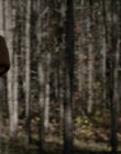 Filename=2020_-_Hunter_Hunter_mp41656.jpg
Filesize=732KiB
Dimensions=1920x804
Date added=Aug 03, 2025 2020_-_Hunter_Hunter_mp41656.jpg