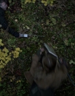 Filename=2020_-_Hunter_Hunter_mp44509.jpg
Filesize=1028KiB
Dimensions=1920x804
Date added=Aug 03, 2025 2020_-_Hunter_Hunter_mp44509.jpg