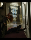 Filename=Chucky_S01E07_mkv2236.jpg
Filesize=669KiB
Dimensions=1920x1080
Date added=Aug 04, 2025 Chucky_S01E07_mkv2236.jpg