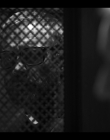 Filename=Chucky_S02E07_mkv8249.jpg
Filesize=522KiB
Dimensions=1920x1080
Date added=Aug 04, 2025 Chucky_S02E07_mkv8249.jpg