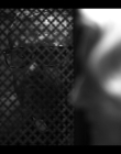 Filename=Chucky_S02E07_mkv8270.jpg
Filesize=525KiB
Dimensions=1920x1080
Date added=Aug 04, 2025 Chucky_S02E07_mkv8270.jpg