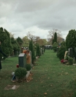 Filename=Chucky_S03E03_mkv7588.jpg
Filesize=1091KiB
Dimensions=1920x960
Date added=Aug 04, 2025 Chucky_S03E03_mkv7588.jpg