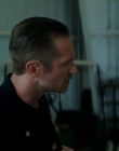 Filename=2022_-_Gasoline_Alley_mp41404.jpg
Filesize=601KiB
Dimensions=1918x800
Date added=Aug 04, 2025 2022_-_Gasoline_Alley_mp41404.jpg