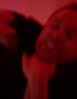 Filename=2022_-_Gasoline_Alley_mp44624.jpg
Filesize=522KiB
Dimensions=1918x800
Date added=Aug 04, 2025 2022_-_Gasoline_Alley_mp44624.jpg