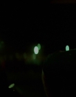 Filename=2022_-_Gasoline_Alley_mp45169.jpg
Filesize=394KiB
Dimensions=1918x800
Date added=Aug 04, 2025 2022_-_Gasoline_Alley_mp45169.jpg