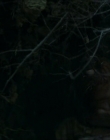 Filename=2024_-_Consumed_mp41977.jpg
Filesize=561KiB
Dimensions=1920x744
Date added=Aug 04, 2025 2024_-_Consumed_mp41977.jpg