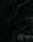 Filename=2024_-_Consumed_mp41978.jpg
Filesize=579KiB
Dimensions=1920x744
Date added=Aug 04, 2025 2024_-_Consumed_mp41978.jpg