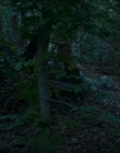 Filename=2024_-_Consumed_mp42018.jpg
Filesize=800KiB
Dimensions=1920x744
Date added=Aug 04, 2025 2024_-_Consumed_mp42018.jpg