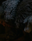 Filename=2024_-_Consumed_mp42094.jpg
Filesize=670KiB
Dimensions=1920x744
Date added=Aug 04, 2025 2024_-_Consumed_mp42094.jpg